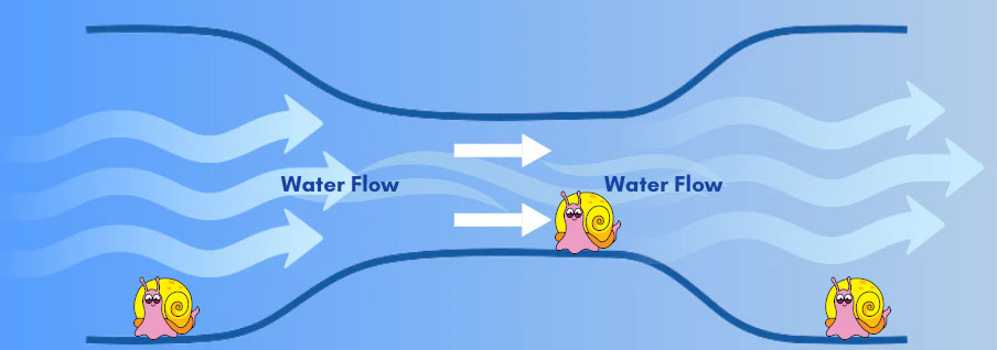 the Venturi effect with water